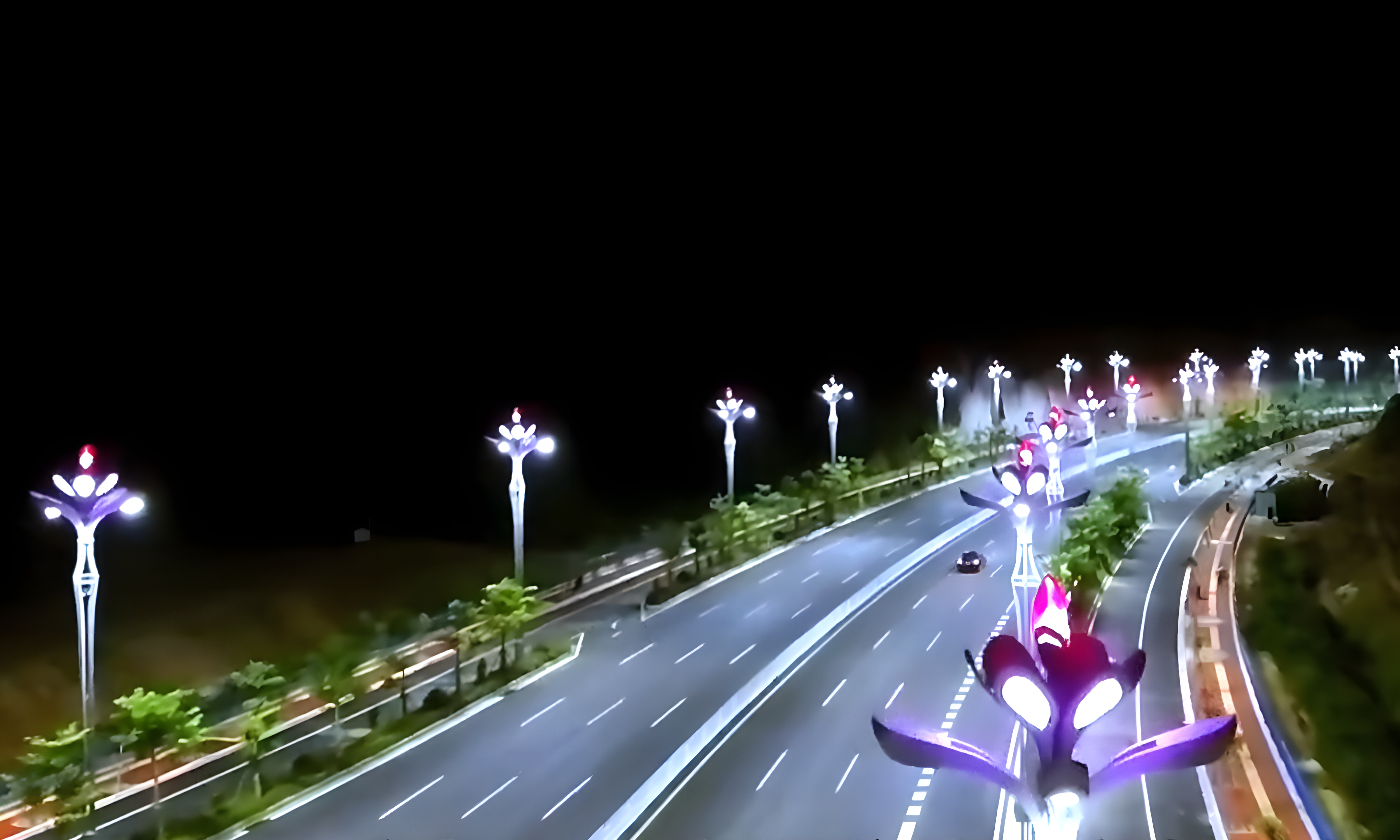 一城一特色，河池「山茶花」綻放新姿態